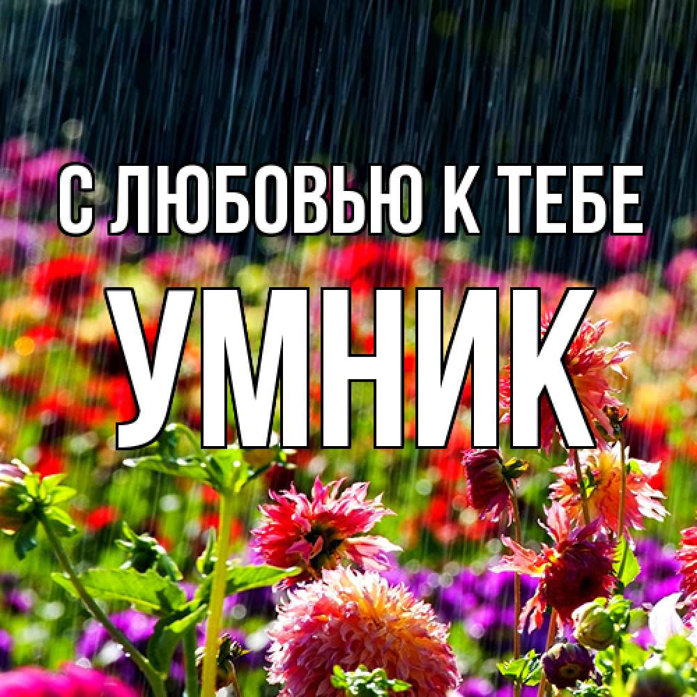 Открытка  с именем. Умник, С любовью к тебе  