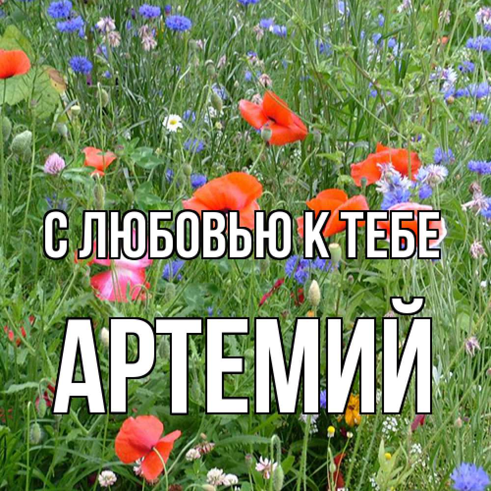 Открытка  с именем. Артемий, С любовью к тебе  
