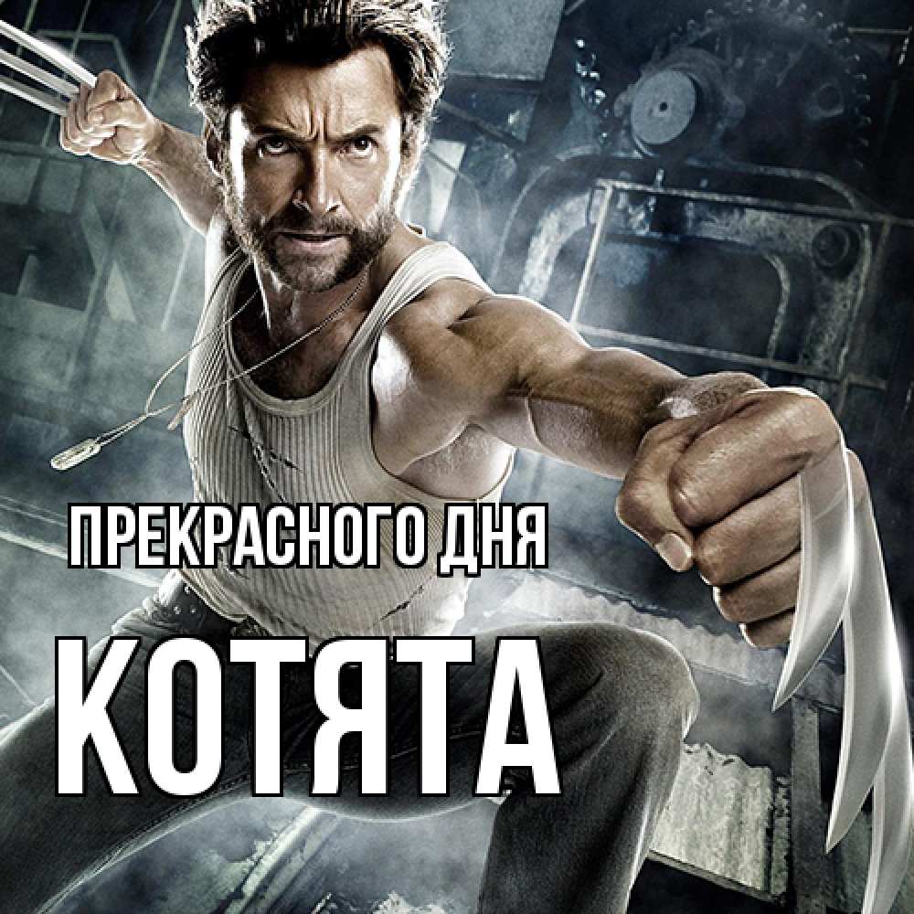 Открытка  с именем. Котята, Прекрасного дня  