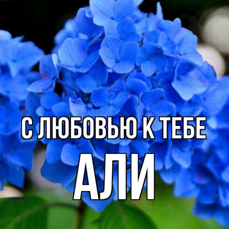 Картинка С любовью к тебе, Али