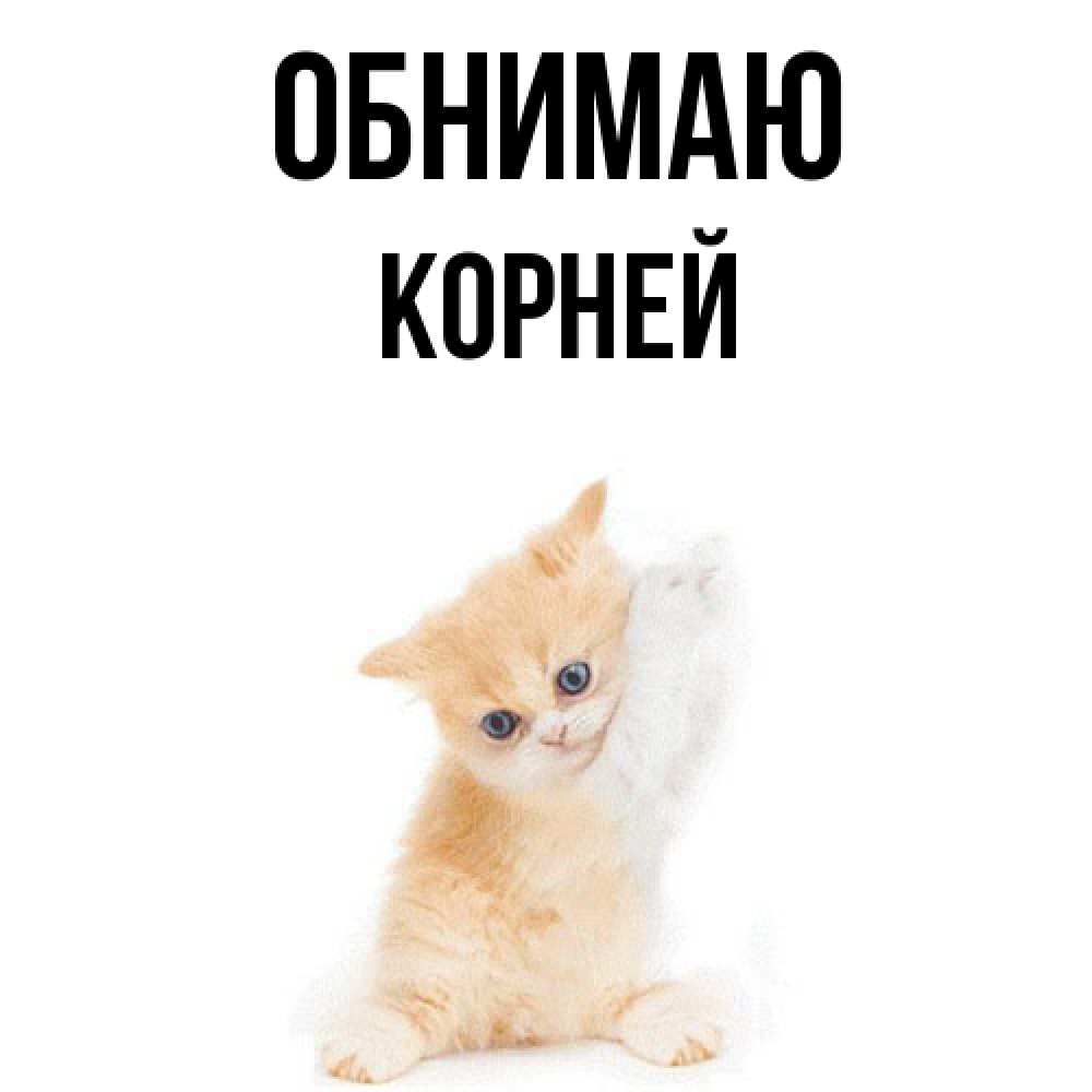 Открытка  с именем. Корней, Обнимаю  