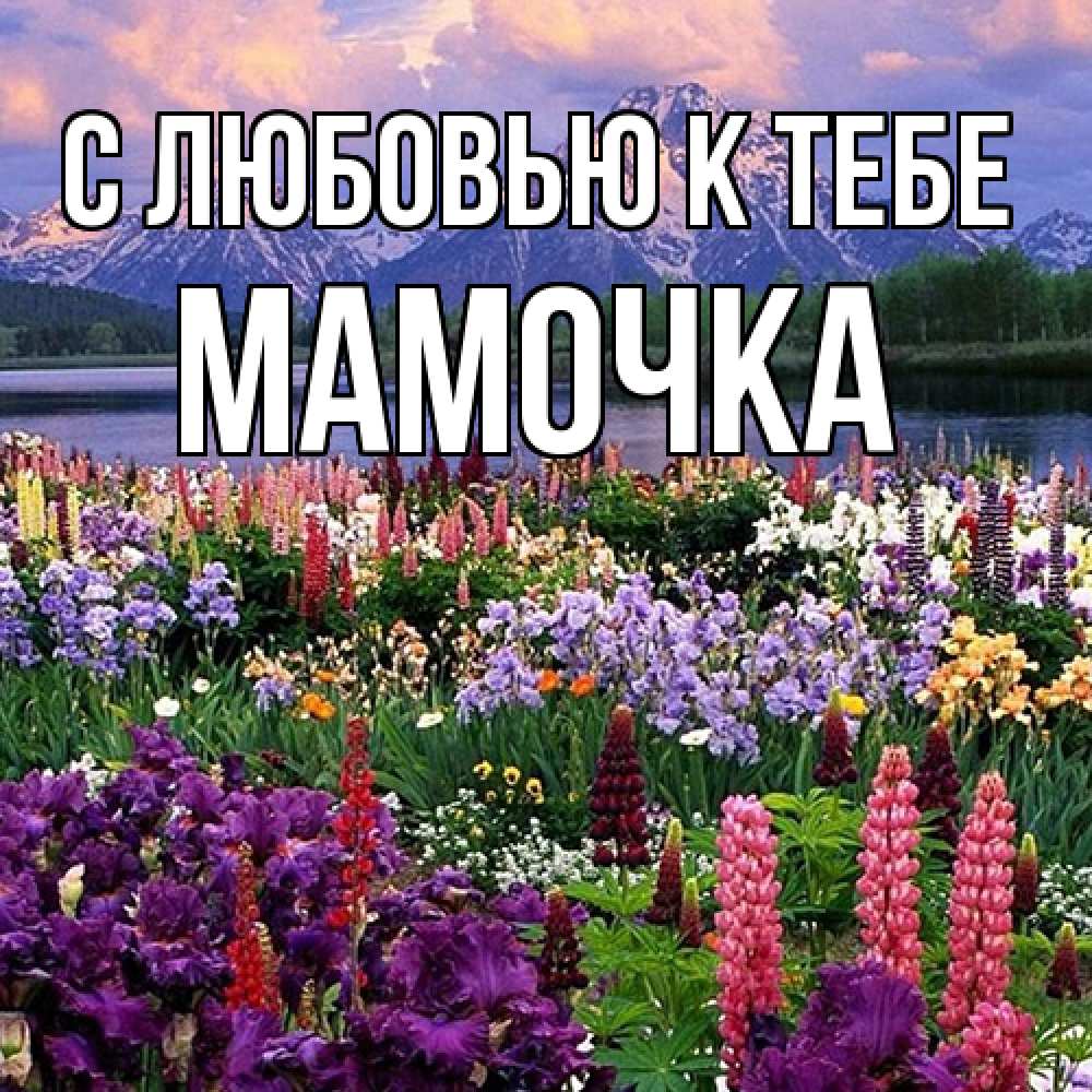 Открытка  с именем. Мамочка, С любовью к тебе  