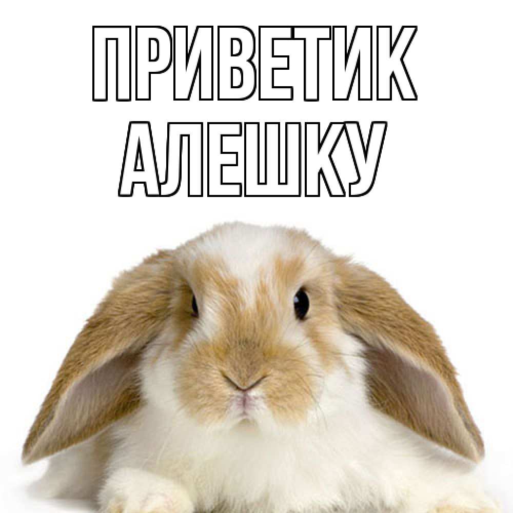 Открытка  с именем. алешку, приветик  