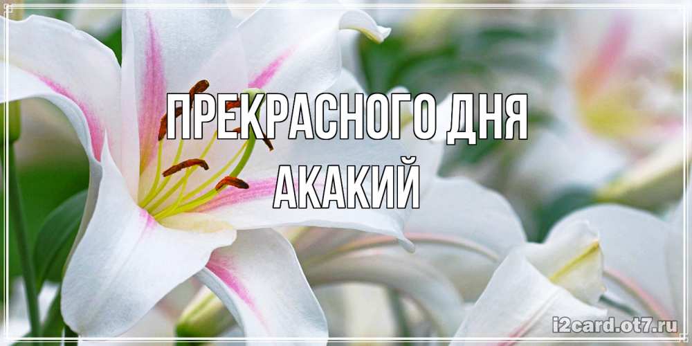 Открытка  с именем. Акакий, Прекрасного дня  