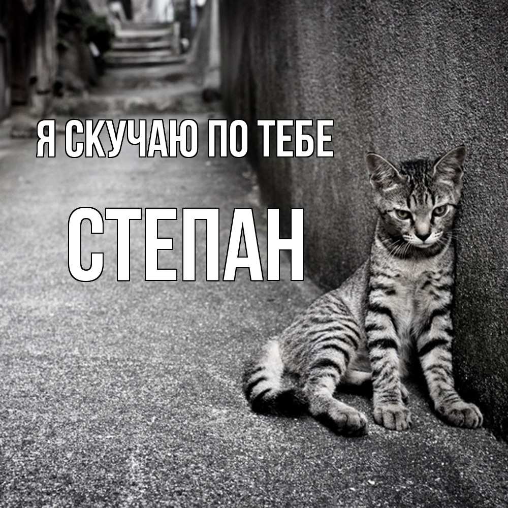 Открытка  с именем. Степан, Я скучаю по тебе  