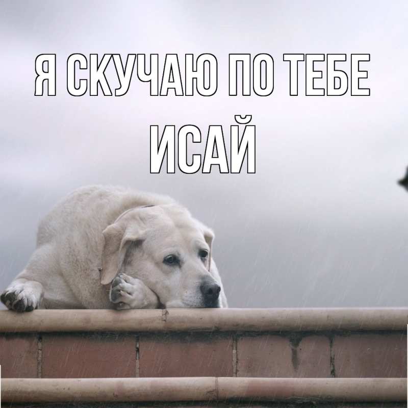 Картинка Я скучаю по тебе, Исай