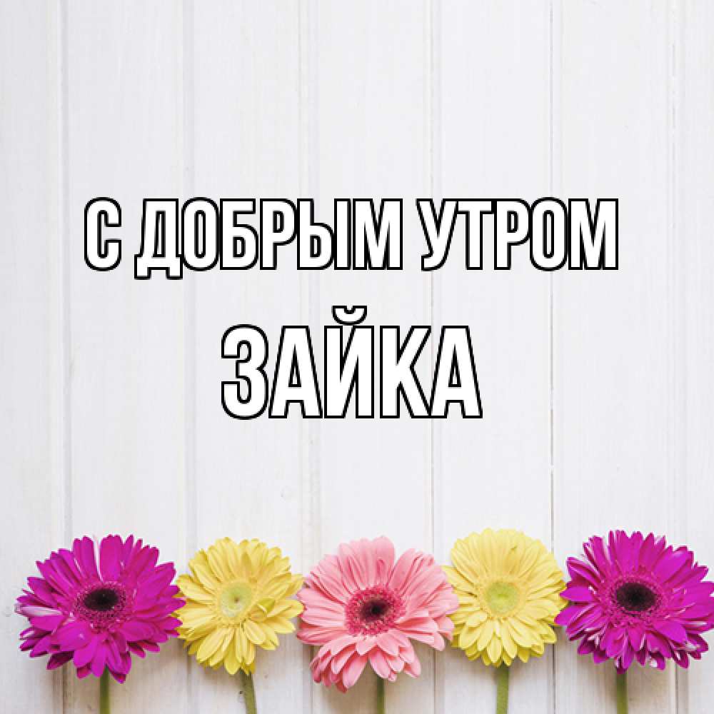 Открытка  с именем. Зайка, С добрым утром  