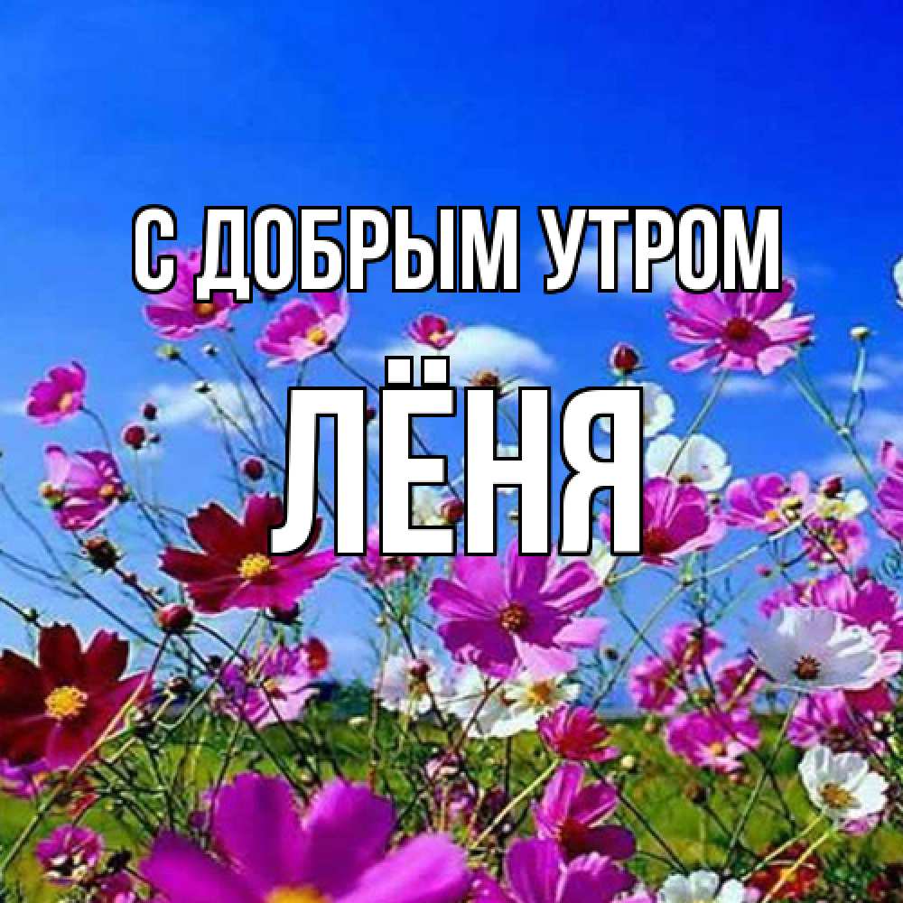 Открытка  с именем. Лёня, С добрым утром  