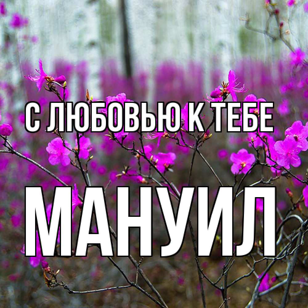 Открытка  с именем. Мануил, С любовью к тебе  