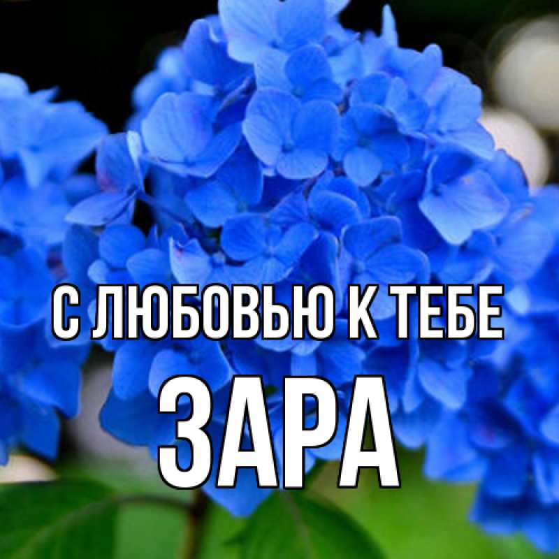 Картинка С любовью к тебе, Зара