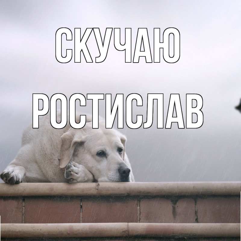 Картинка Скучаю, Ростислав