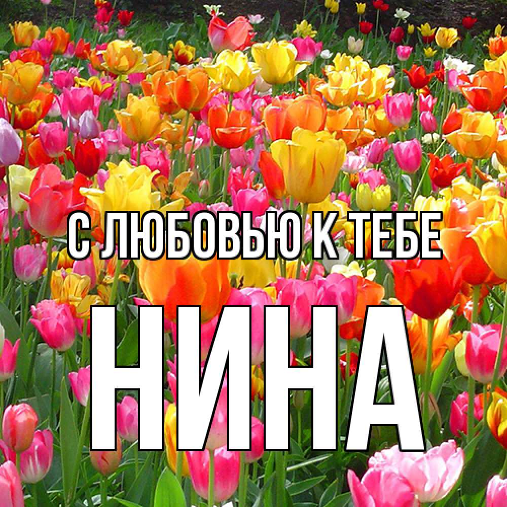 Открытка  с именем. Нина, С любовью к тебе  