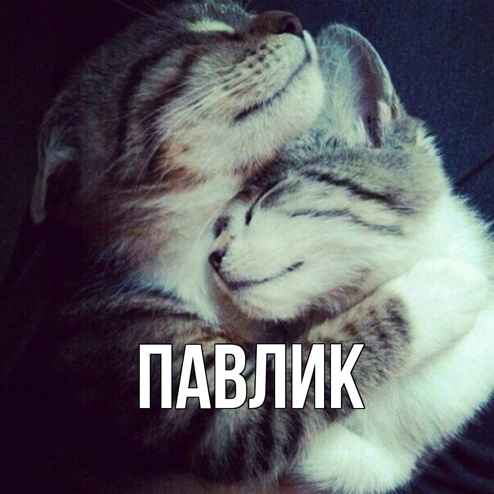 Открытка  с именем. Павлик, Главная  
