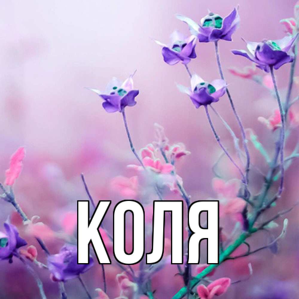 Открытка  с именем. коля, Главная  