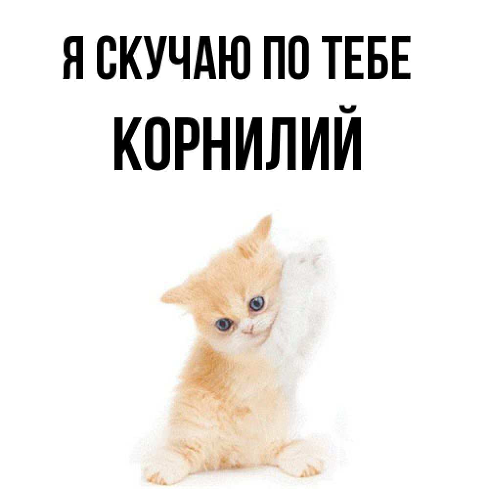 Открытка  с именем. Корнилий, Я скучаю по тебе  