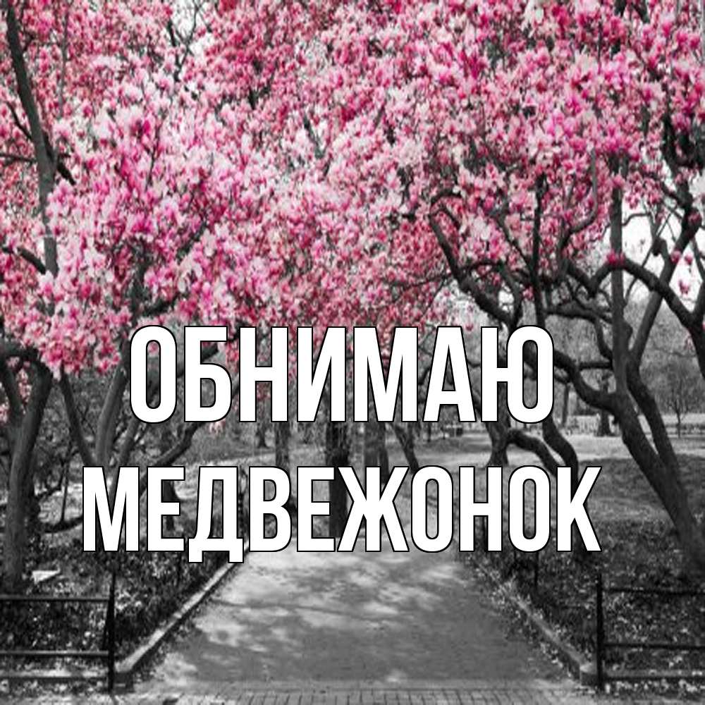 Открытка  с именем. Медвежонок, Обнимаю  