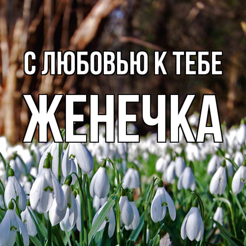 Открытка  с именем. Женечка, С любовью к тебе  