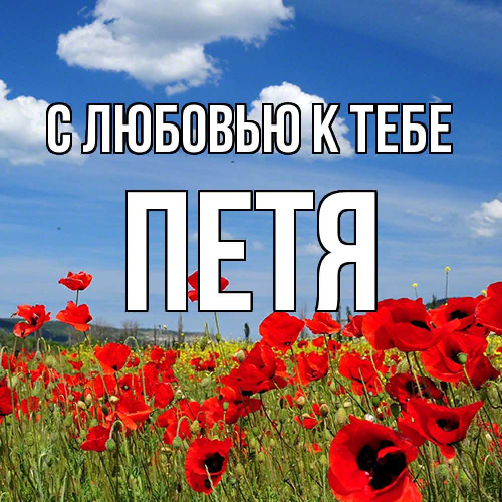 Открытка  с именем. петя, С любовью к тебе  