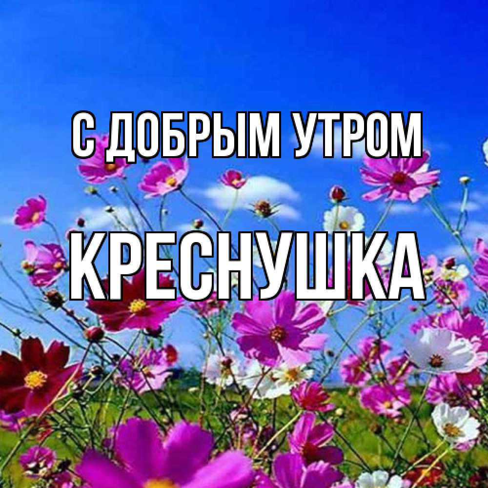 Открытка  с именем. Креснушка, С добрым утром  