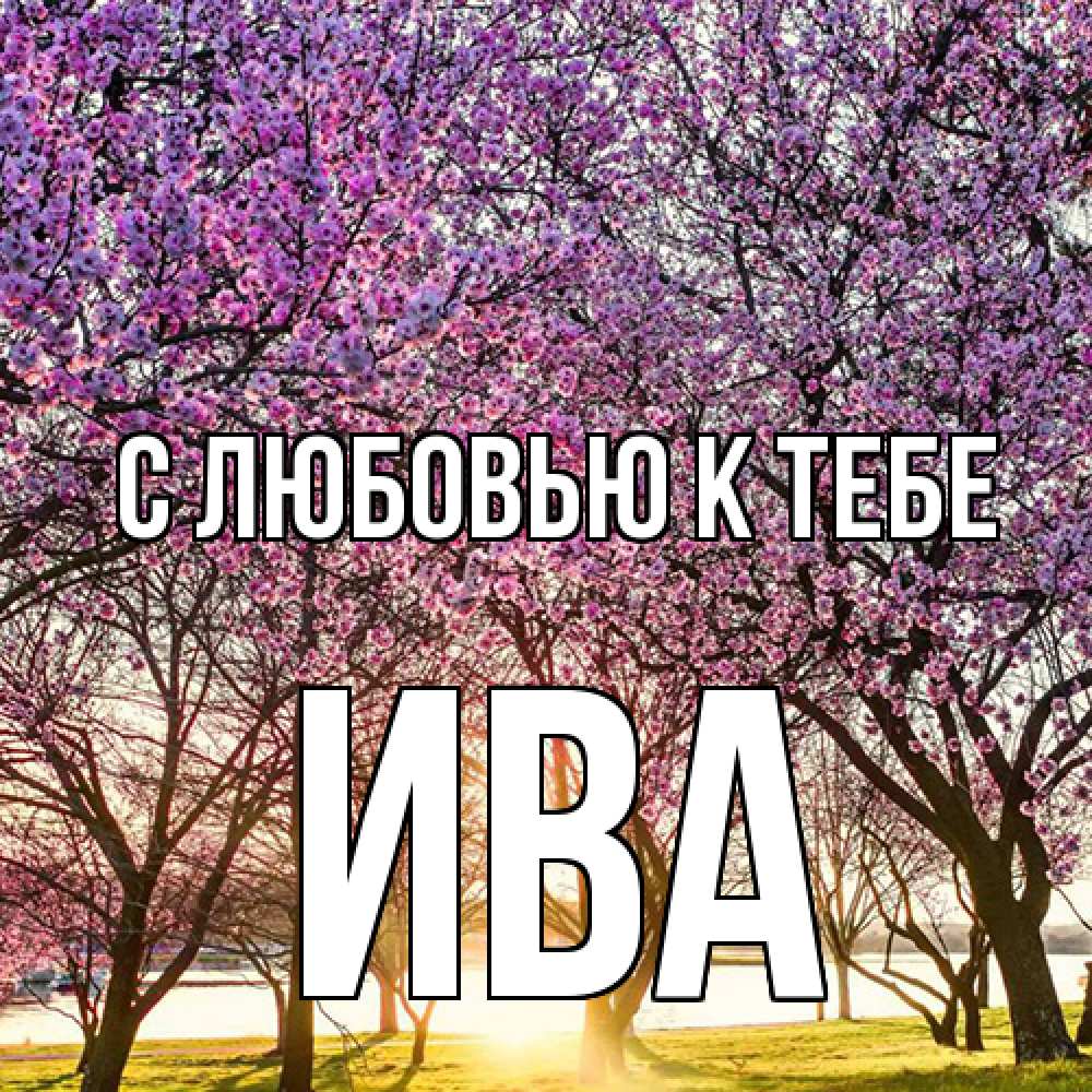 Открытка  с именем. Ива, С любовью к тебе  