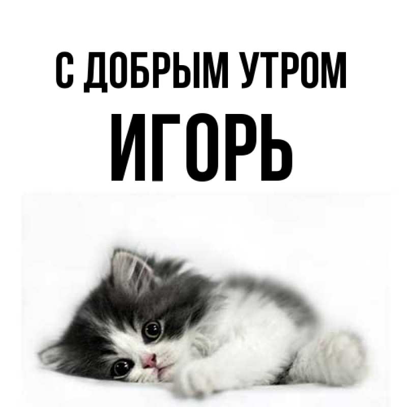 Картинка С добрым утром, Игорь