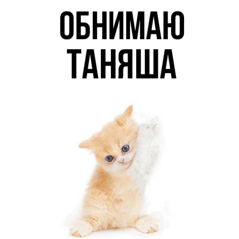 Картинка Обнимаю, таняша