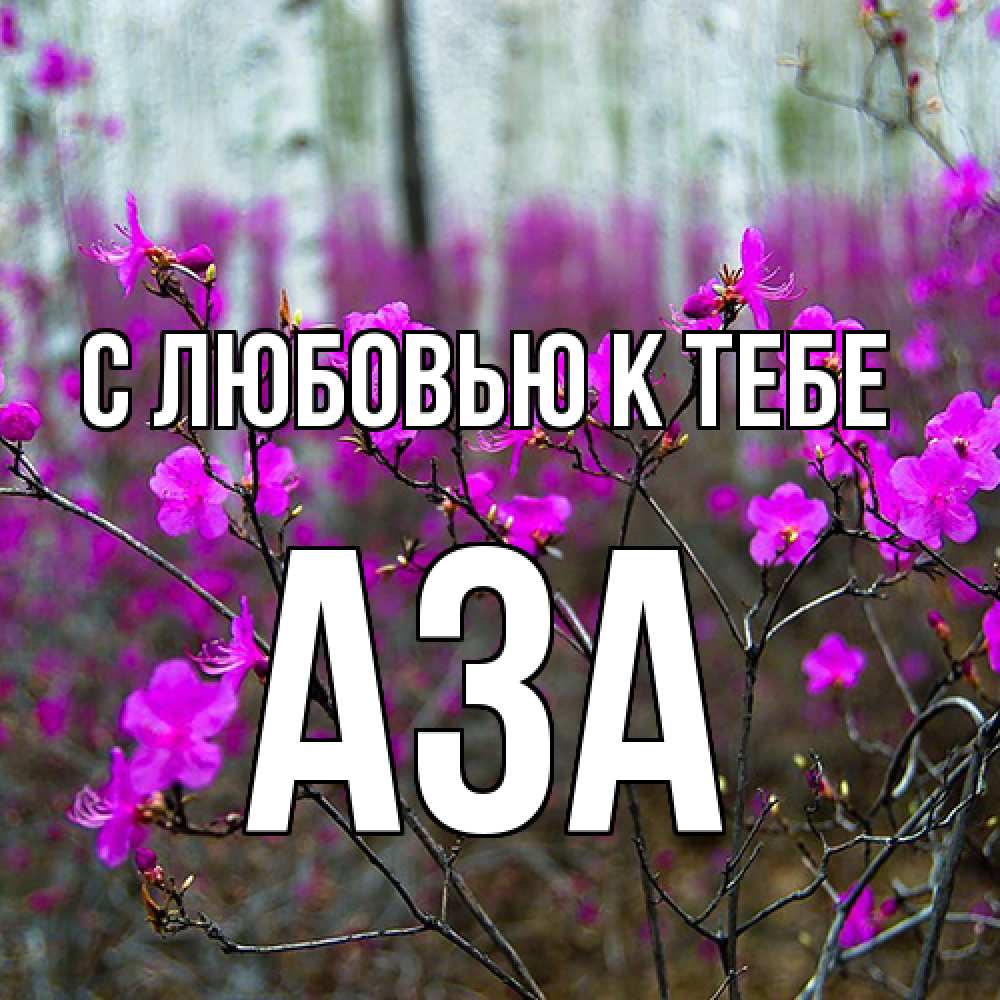Открытка  с именем. Аза, С любовью к тебе  