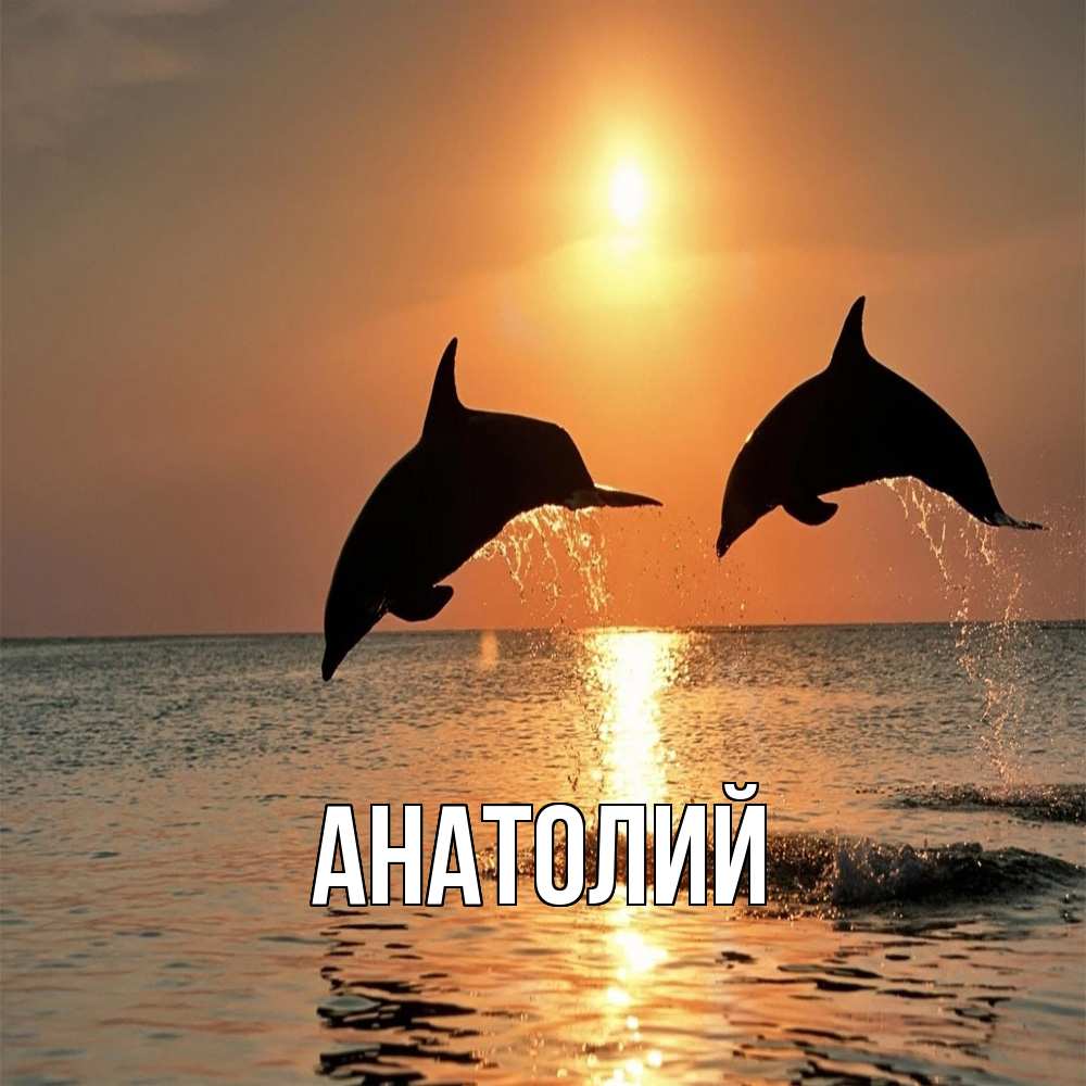 Открытка  с именем. Анатолий, Главная  