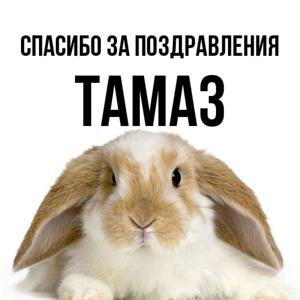 Открытка  с именем. Тамаз, Спасибо за поздравления  