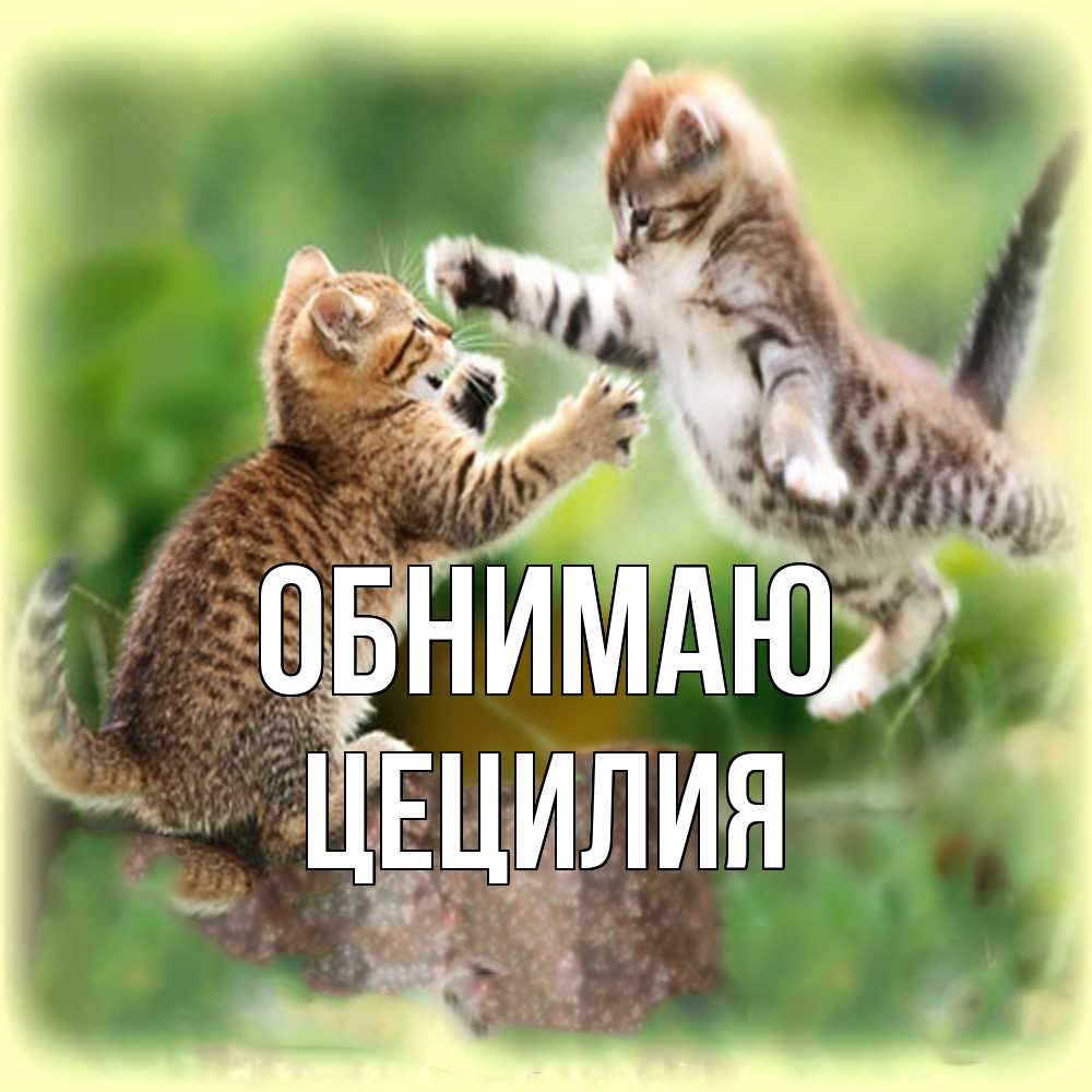 Открытка  с именем. Цецилия, Обнимаю  