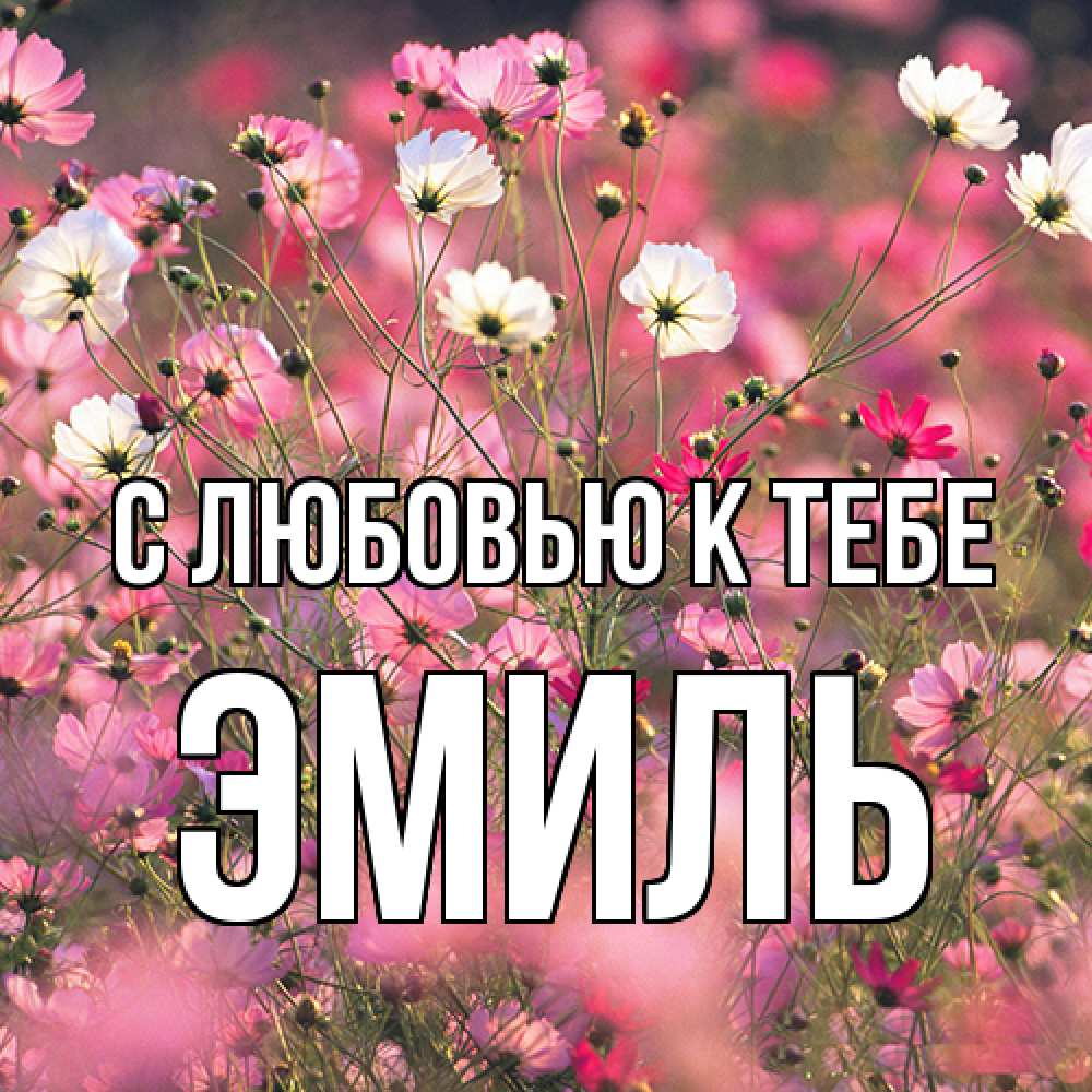Открытка  с именем. Эмиль, С любовью к тебе  