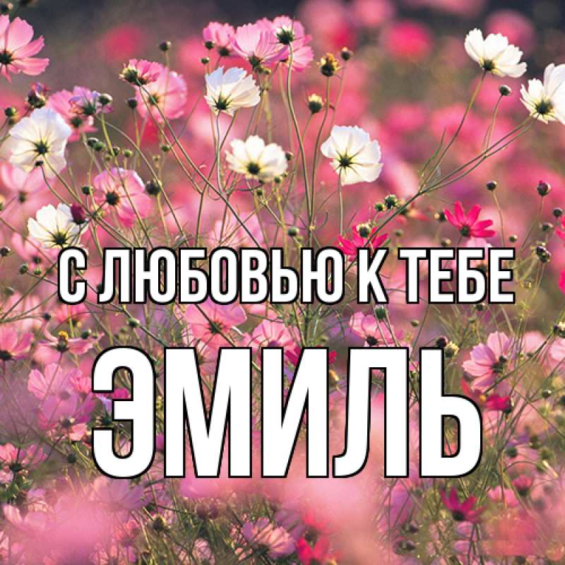 Картинка С любовью к тебе, Эмиль