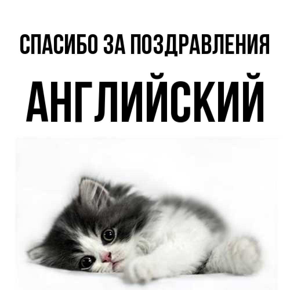 Открытка  с именем. Английский, Спасибо за поздравления  