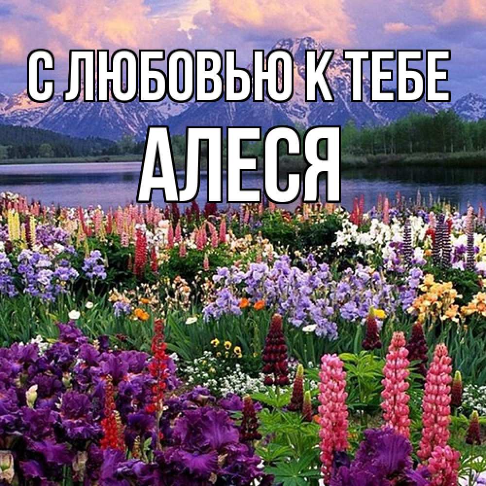 Открытка  с именем. Алеся, С любовью к тебе  