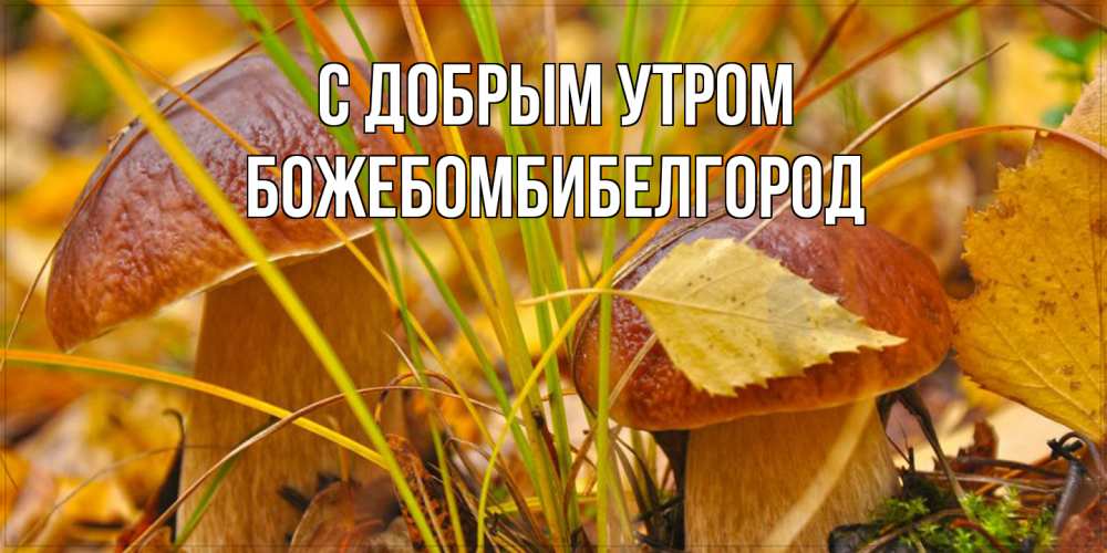 Открытка  с именем. божебомбибелгород, С добрым утром  