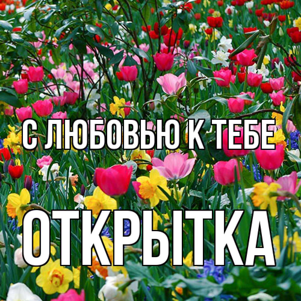 Открытка  с именем. открытка, С любовью к тебе  