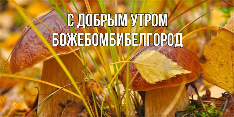 Картинка С добрым утром, боже.бомби.белгород