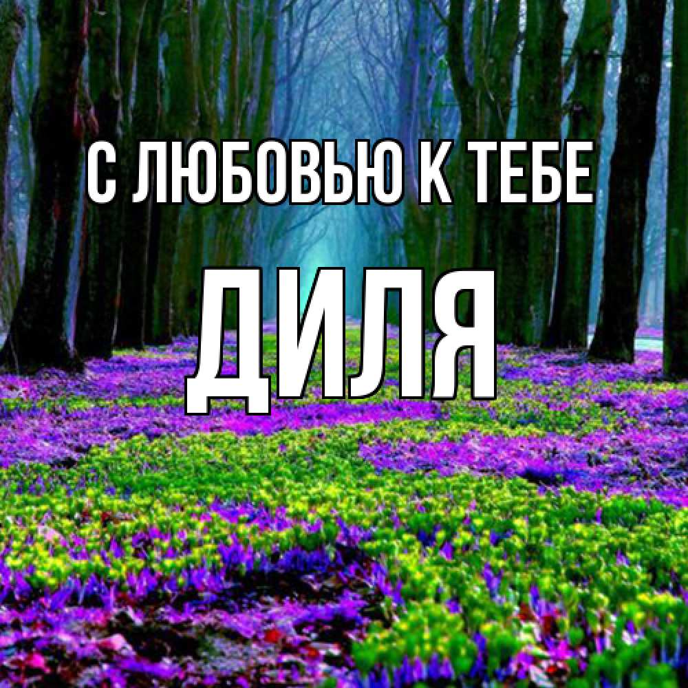 Открытка  с именем. Диля, С любовью к тебе  