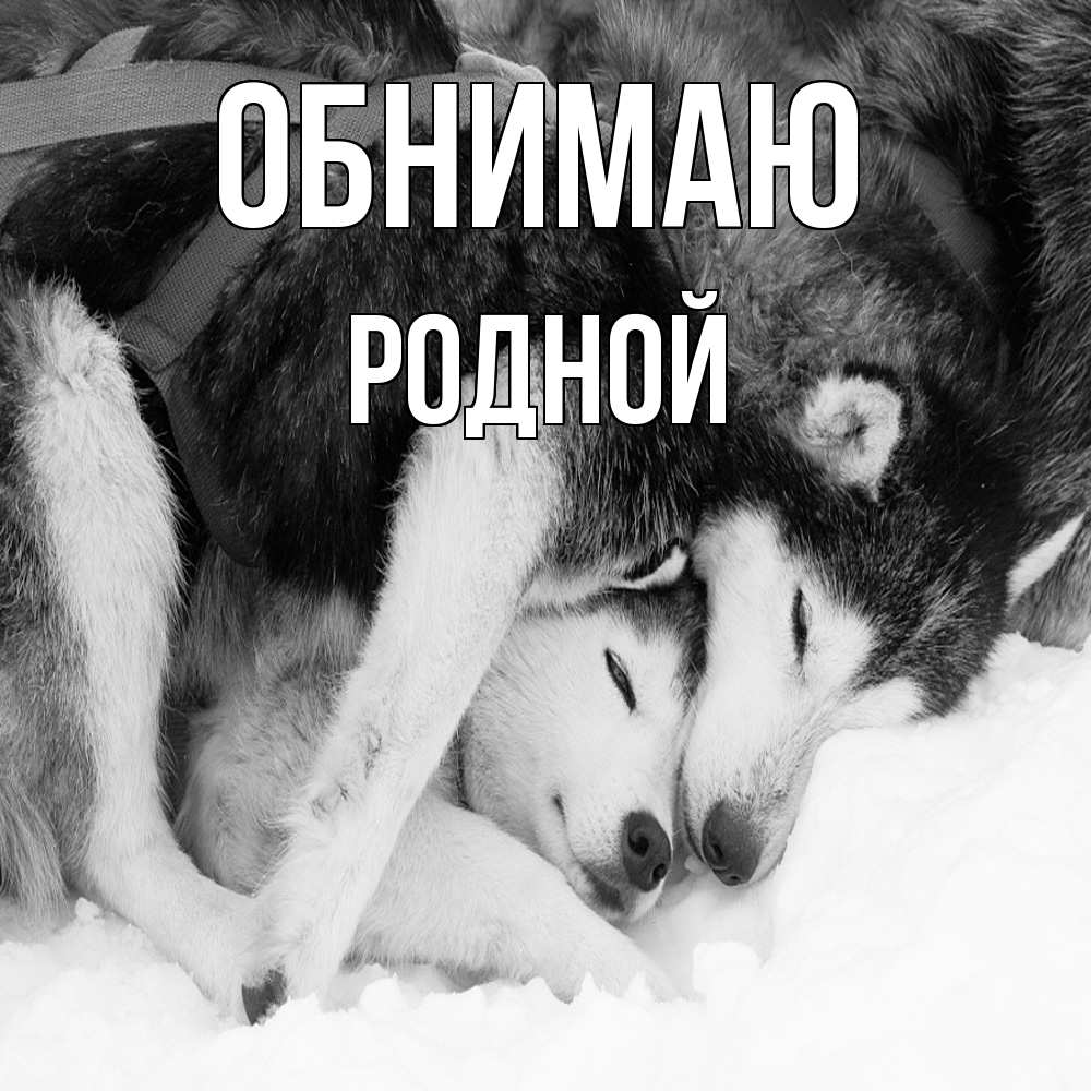 Открытка  с именем. родной, Обнимаю  