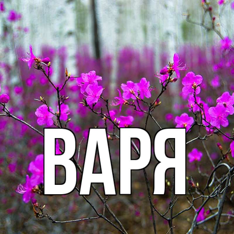 Картинка  с именем , варя