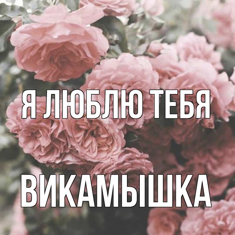 Картинка Я люблю тебя, викамышка