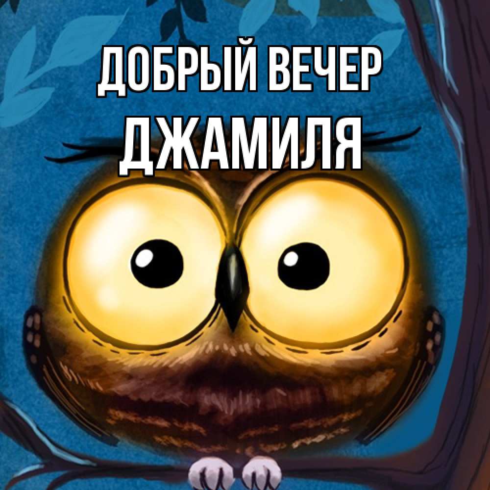 Открытка  с именем. Джамиля, Добрый вечер  
