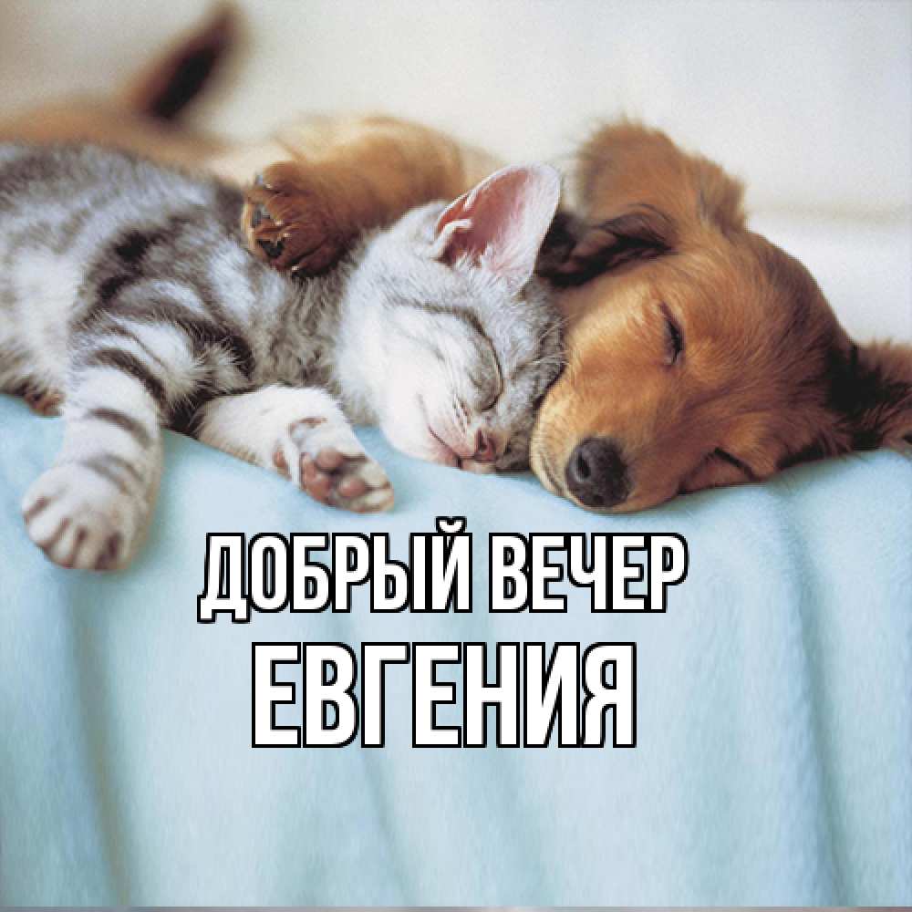 Открытка  с именем. Евгения, Добрый вечер  
