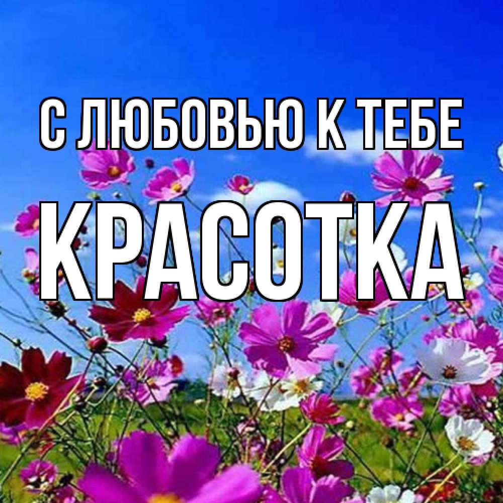 Открытка  с именем. Красотка, С любовью к тебе  