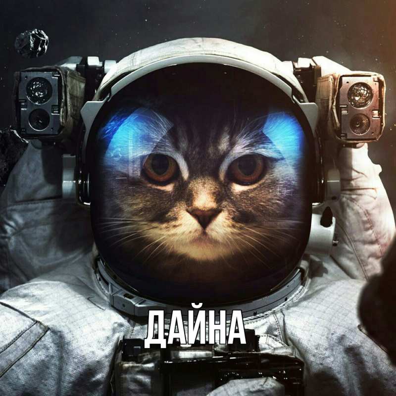 Картинка  с именем , Дайна