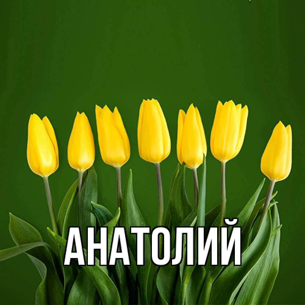 Открытка  с именем. Анатолий, Главная  