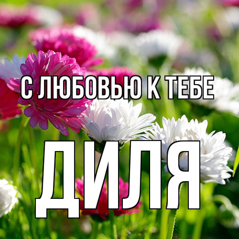 Открытка  с именем. Диля, С любовью к тебе  