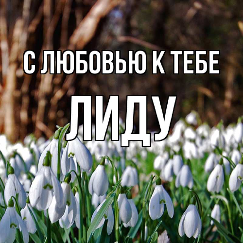 Открытка с именем, Лиду, С любовью к тебе