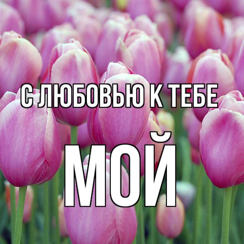 Картинка С любовью к тебе, Мой