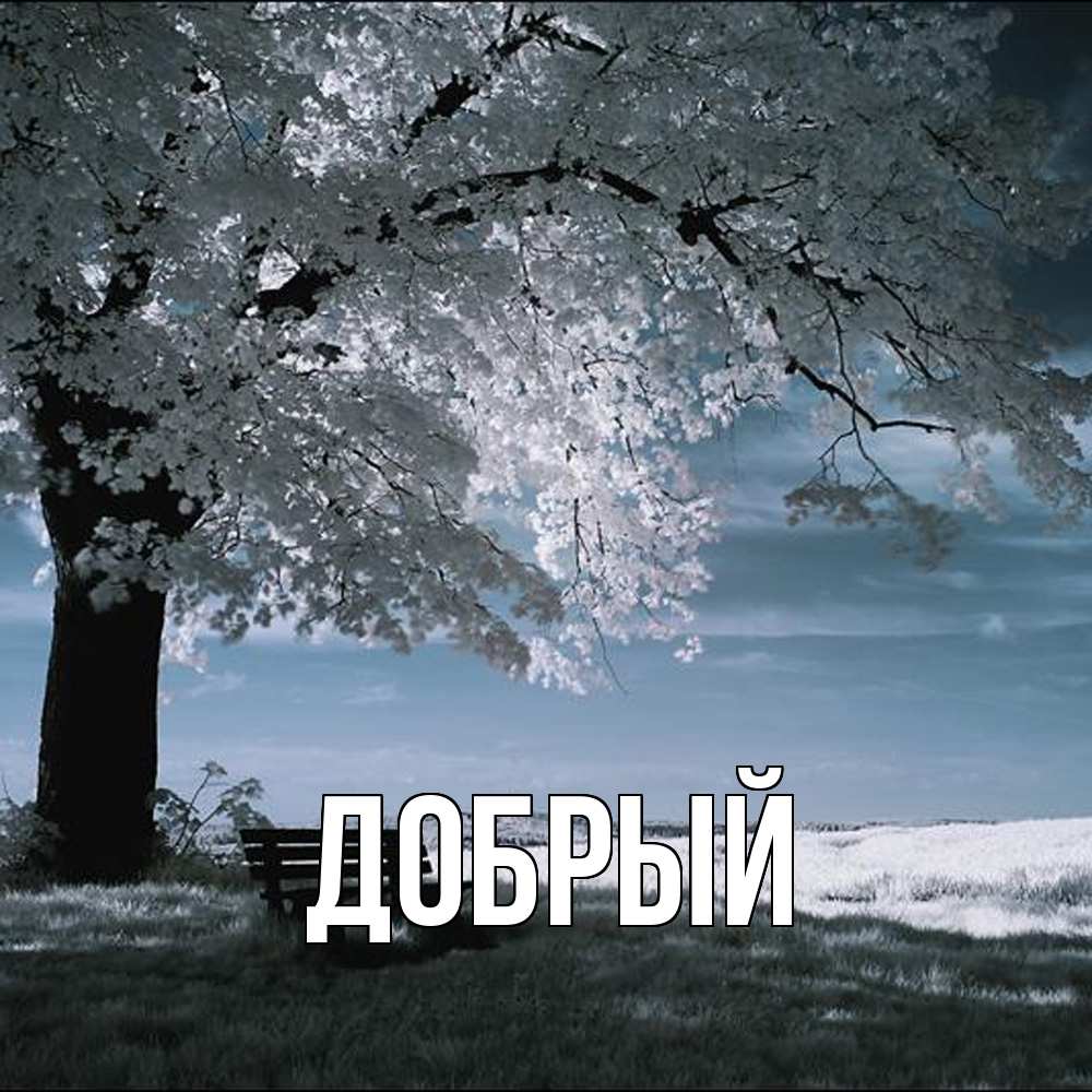 Открытка  с именем. Добрый, Главная  